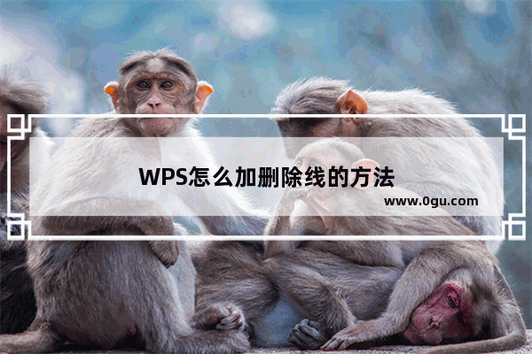 WPS怎么加删除线的方法
