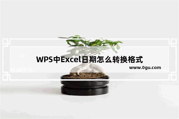 WPS中Excel日期怎么转换格式