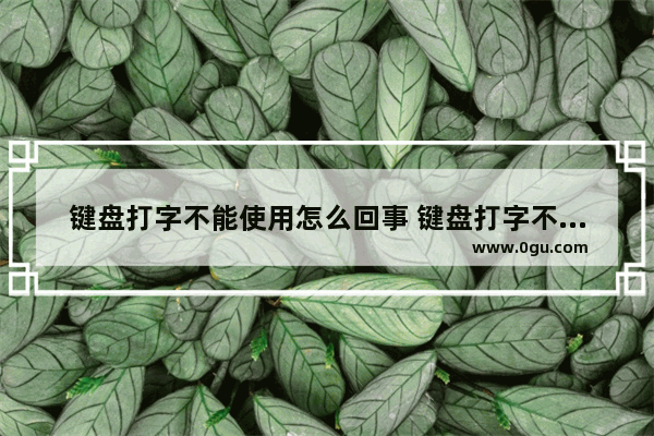 键盘打字不能使用怎么回事 键盘打字不能用怎么办
