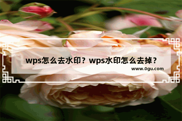 wps怎么去水印？wps水印怎么去掉？