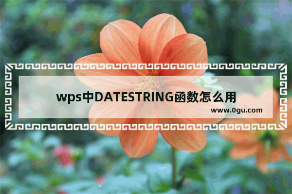 wps中DATESTRING函数怎么用