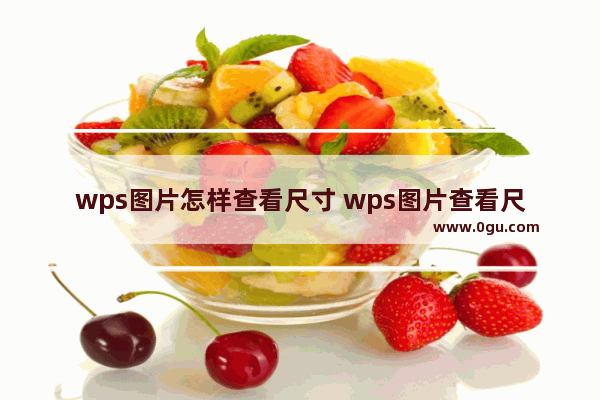 wps图片怎样查看尺寸 wps图片查看尺寸是多少厘米的操作方法
