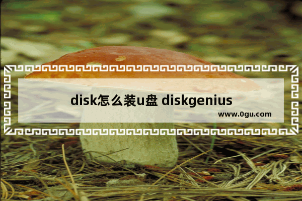 disk怎么装u盘 diskgenius如何安装