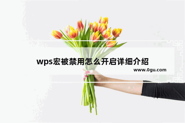 wps宏被禁用怎么开启详细介绍