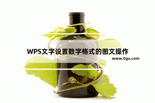 WPS文字设置数字格式的图文操作