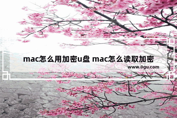 mac怎么用加密u盘 mac怎么读取加密u盘