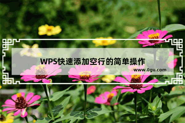 WPS快速添加空行的简单操作