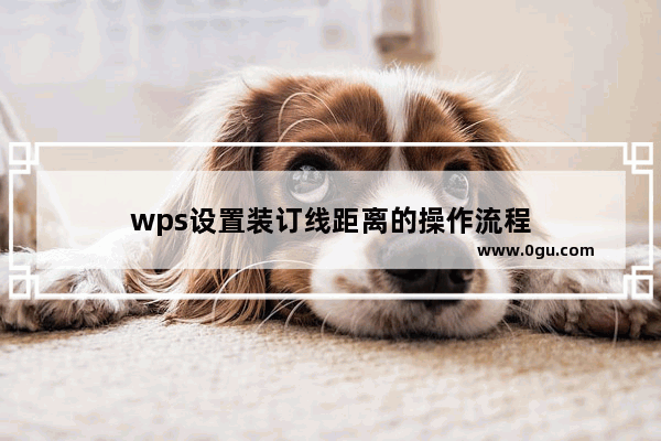 wps设置装订线距离的操作流程