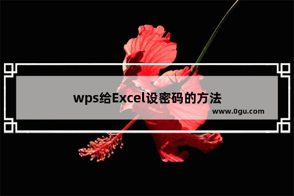 wps给Excel设密码的方法
