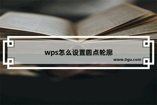 wps怎么设置圆点轮廓