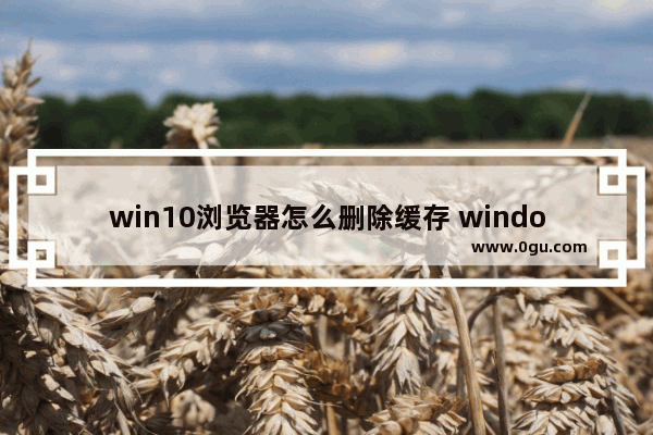 win10浏览器怎么删除缓存 windows10怎么删除浏览器