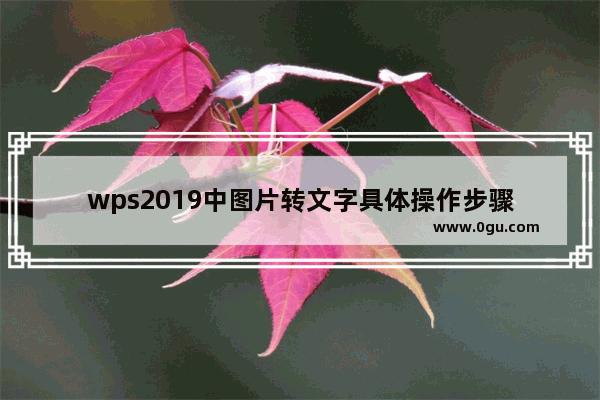 wps2019中图片转文字具体操作步骤