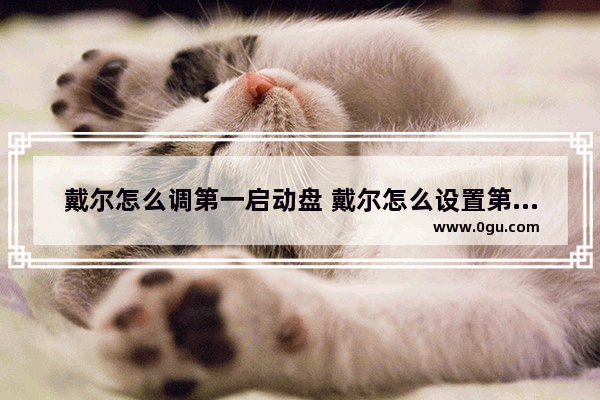 戴尔怎么调第一启动盘 戴尔怎么设置第一启动盘