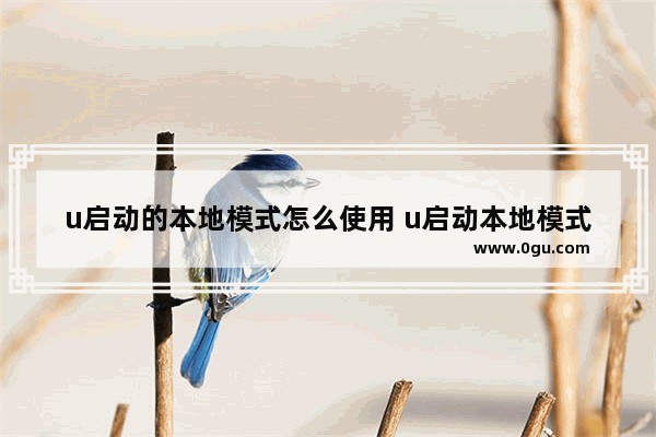 u启动的本地模式怎么使用 u启动本地模式安装使用教程