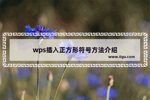 wps插入正方形符号方法介绍