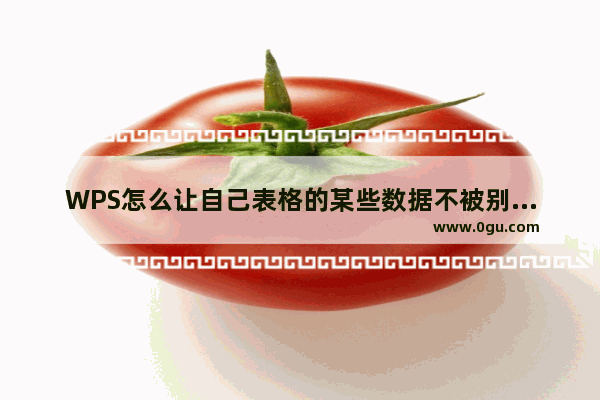 WPS怎么让自己表格的某些数据不被别人看见？