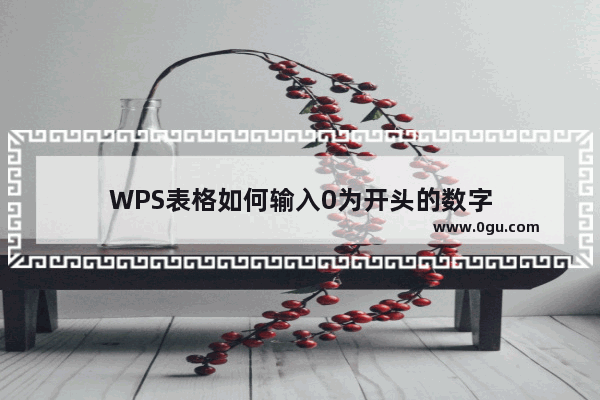 WPS表格如何输入0为开头的数字