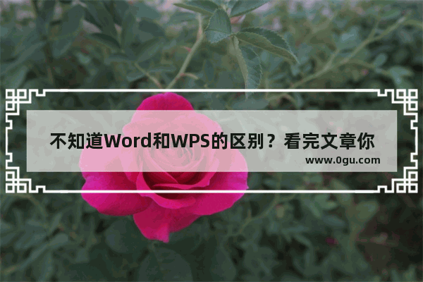 不知道Word和WPS的区别？看完文章你就知道啦，没有可比性