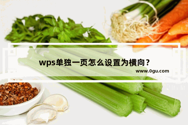 wps单独一页怎么设置为横向？