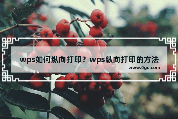 wps如何纵向打印？wps纵向打印的方法