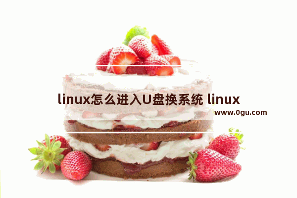 linux怎么进入U盘换系统 linux怎么进入u盘启动项