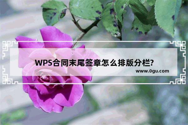 WPS合同末尾签章怎么排版分栏?