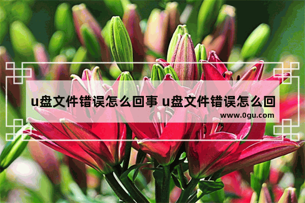 u盘文件错误怎么回事 u盘文件错误怎么回事儿