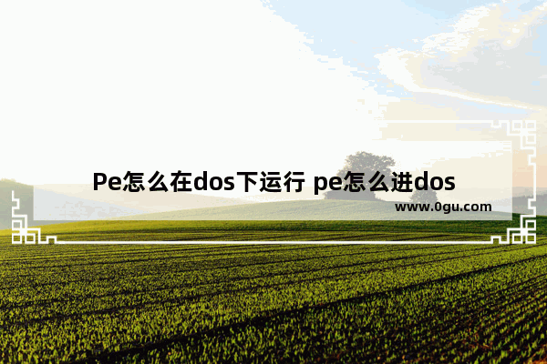 Pe怎么在dos下运行 pe怎么进dos界面