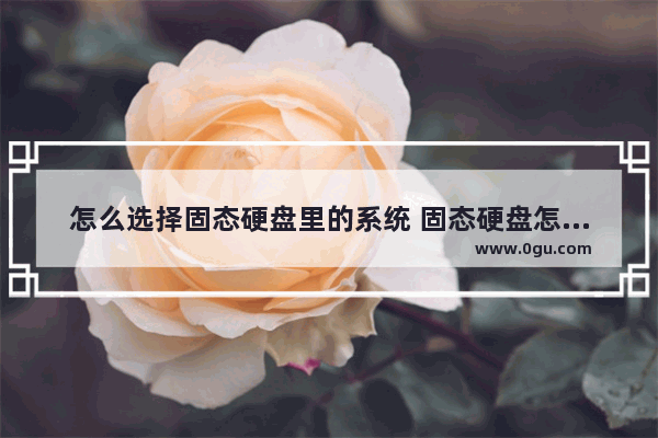 怎么选择固态硬盘里的系统 固态硬盘怎样选择