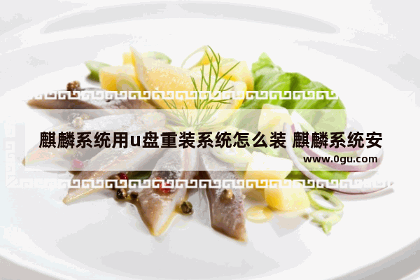 麒麟系统用u盘重装系统怎么装 麒麟系统安装教程百度经验