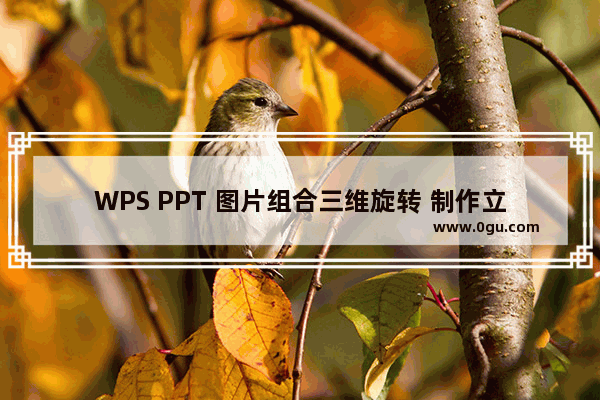 WPS PPT 图片组合三维旋转 制作立体图片墙 实例教程