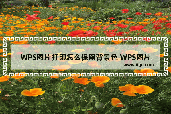 WPS图片打印怎么保留背景色 WPS图片打印保留背景色方法
