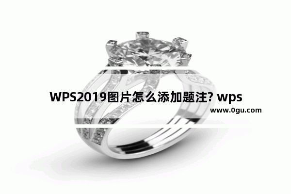 WPS2019图片怎么添加题注? wps题注的设置方法