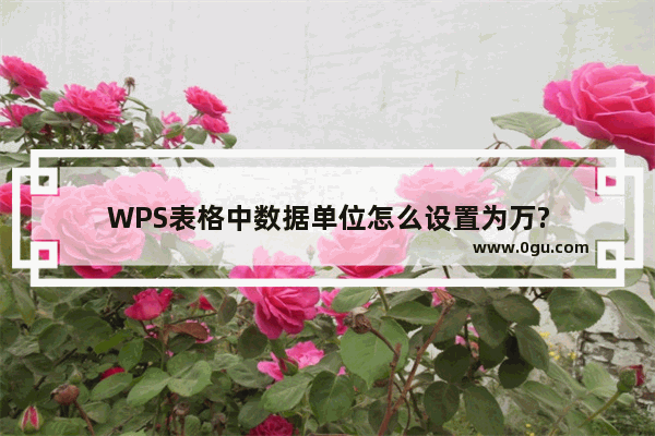 WPS表格中数据单位怎么设置为万?