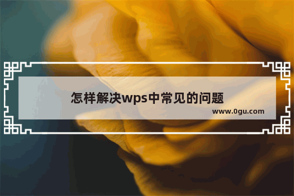 怎样解决wps中常见的问题