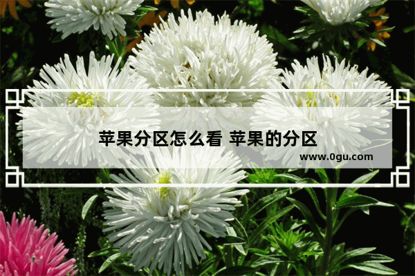 苹果分区怎么看 苹果的分区