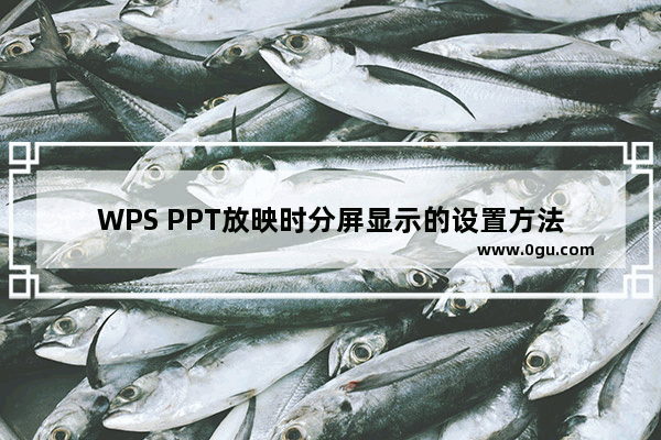 WPS PPT放映时分屏显示的设置方法