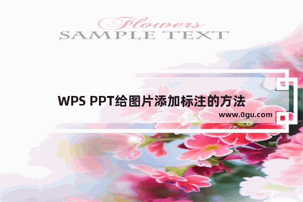 WPS PPT给图片添加标注的方法