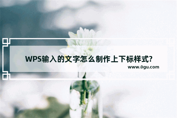WPS输入的文字怎么制作上下标样式?