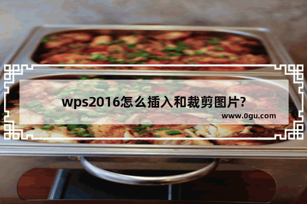 wps2016怎么插入和裁剪图片?