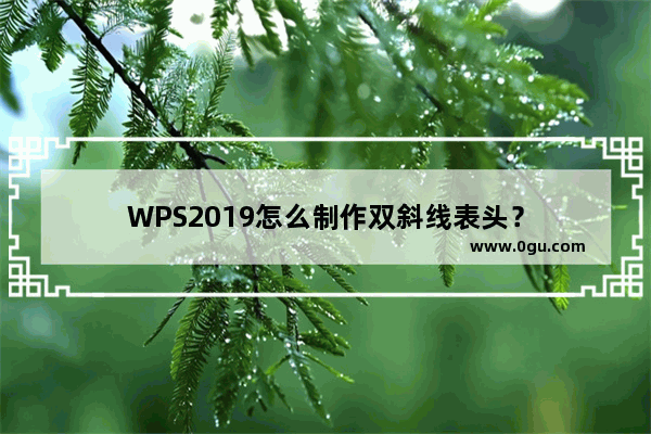WPS2019怎么制作双斜线表头？