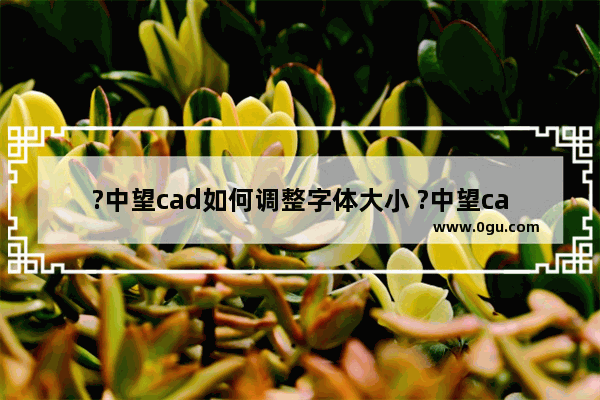 ?中望cad如何调整字体大小 ?中望cad设置文字大小的方法