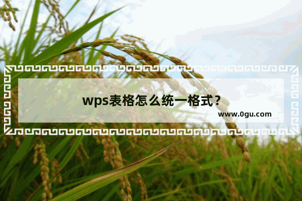 wps表格怎么统一格式？