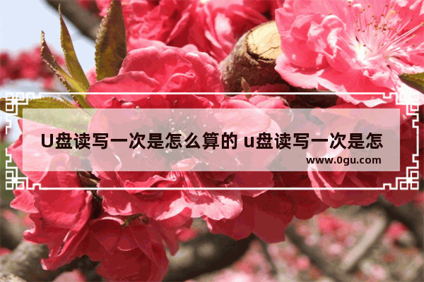 U盘读写一次是怎么算的 u盘读写一次是怎么算的呀