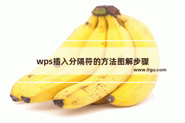 wps插入分隔符的方法图解步骤