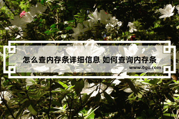 怎么查内存条详细信息 如何查询内存条