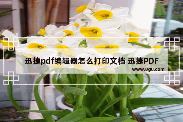 迅捷pdf编辑器怎么打印文档 迅捷PDF编辑器打印PDF文档的方法