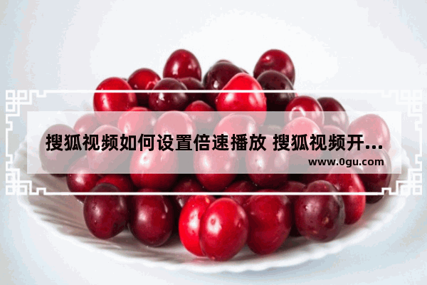 搜狐视频如何设置倍速播放 搜狐视频开启视频倍数播放的方法