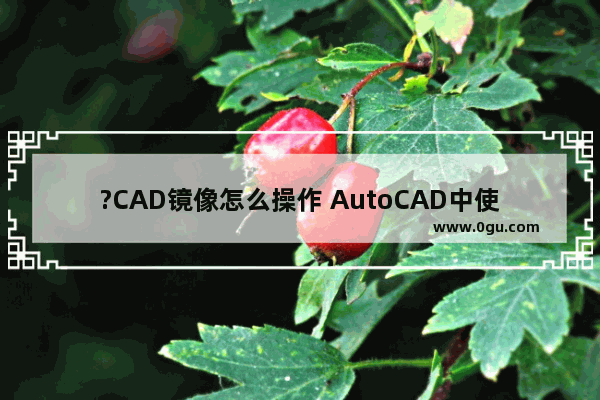 ?CAD镜像怎么操作 AutoCAD中使用镜像功能的方法教程