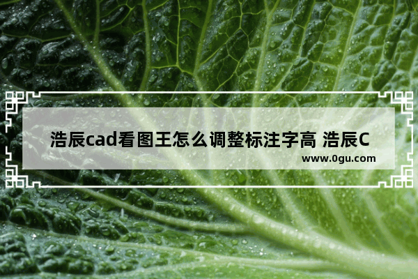 浩辰cad看图王怎么调整标注字高 浩辰CAD看图王修改标注字高的方法